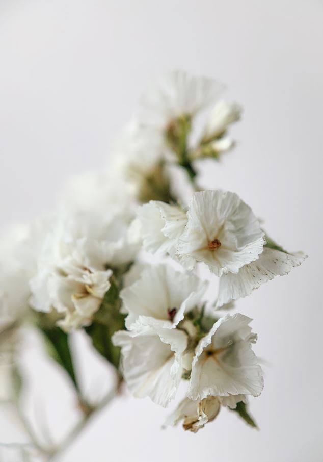 GUEST BATHROOM TOWELS GT005