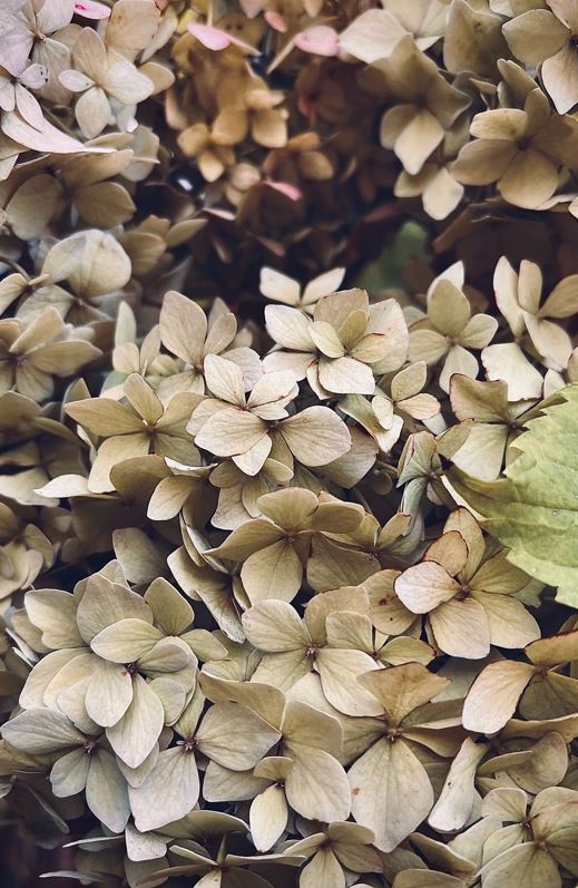 GUEST BATHROOM TOWELS GT009