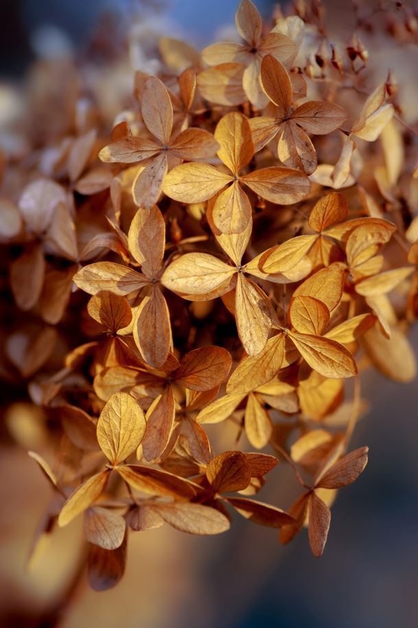 GUEST BATHROOM TOWELS GT006