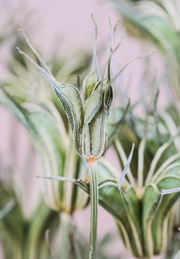 GUEST BATHROOM TOWELS GT012