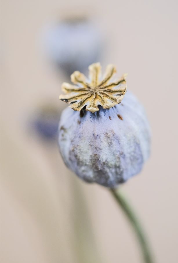 GUEST BATHROOM TOWELS GT011