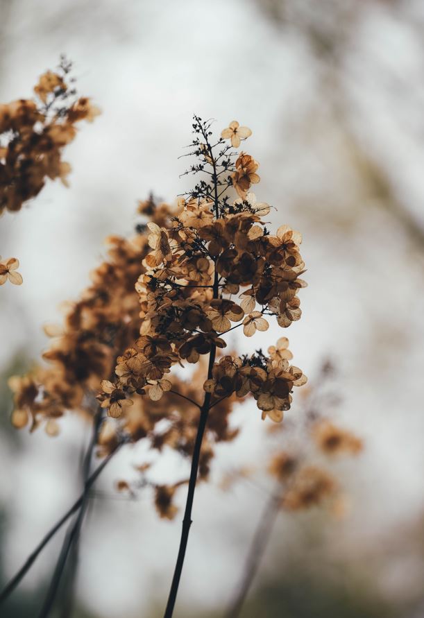 GUEST BATHROOM TOWELS GT008