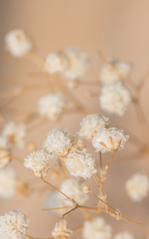 GUEST BATHROOM TOWELS GT010